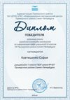 2018-2019 Ковтюшенко Софья 7л (район-информатика)